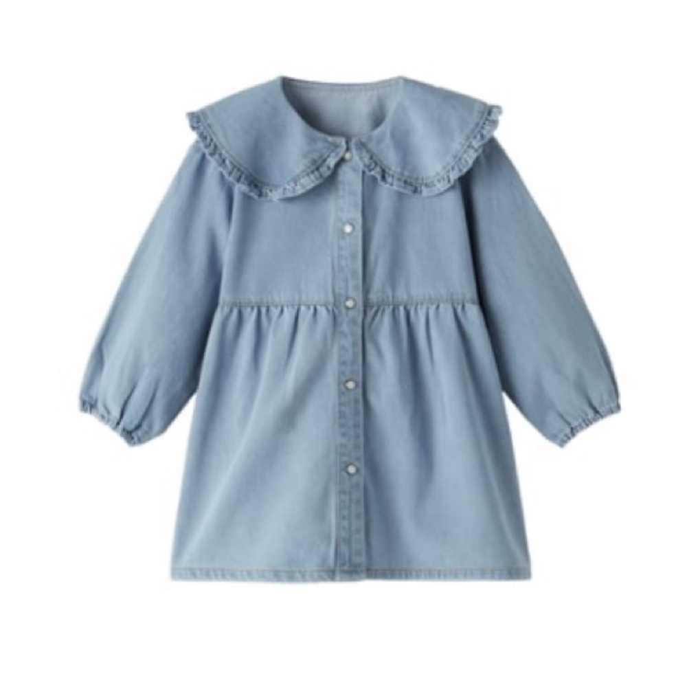 Zara Peter Pan collar denim dress